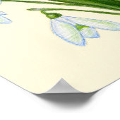 スノードロップアートプリント。 ポスター (角)