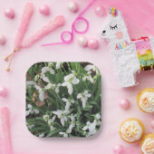 スノードロップオンザスクエア紙プレート ペーパープレート (パーティー)