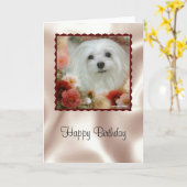 スノードロップザマルチーズ誕生日カード カード (黄色い花)