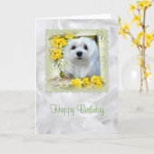 スノードロップザマルチーズ誕生日カード カード (黄色い花)