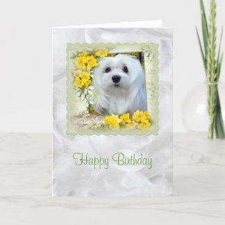 スノードロップザマルチーズ誕生日カード カード