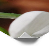 スノードロップフラワーポスター ポスター (角)