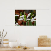 スノードロップフラワーポスター ポスター (キッチン)