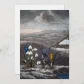 スノードロップホリデーカード シーズンカード (正面/裏面)