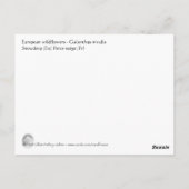 スノードロップポストカード ポストカード (裏面)