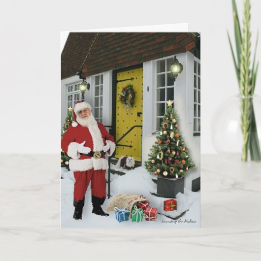 スノードロップマルチーズクリスマスカード シーズンカード (正面)