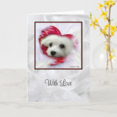 スノードロップマルチーズグリーティングカード(愛) カード (黄色い花)