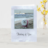 スノードロップマルチーズ考え「のカード カード (黄色い花)