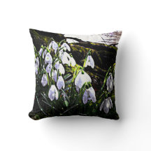 スノードロップ撮影春