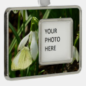 スノードロップ時の小さな白 シルバープレートフレームオーナメント (右)