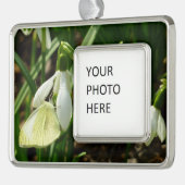 スノードロップ時の小さな白 シルバープレートフレームオーナメント (左)