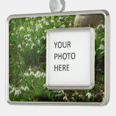 スノードロップII （ガランサス）春フローラ シルバープレートフレームオーナメント (左)