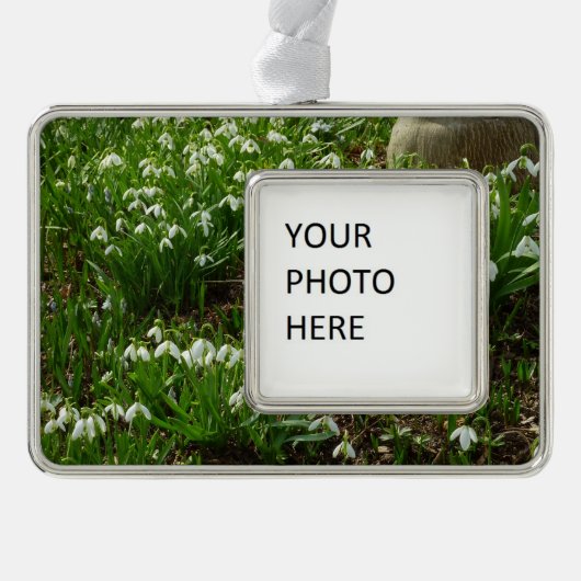スノードロップII （ガランサス）春フローラ シルバープレートフレームオーナメント (正面)