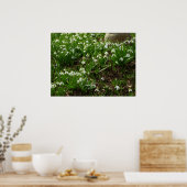 スノードロップII (ガランサス)春フローラ ポスター (キッチン)