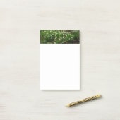 スノードロップII （ガランサス）春フローラ ポストイット (デスク上)