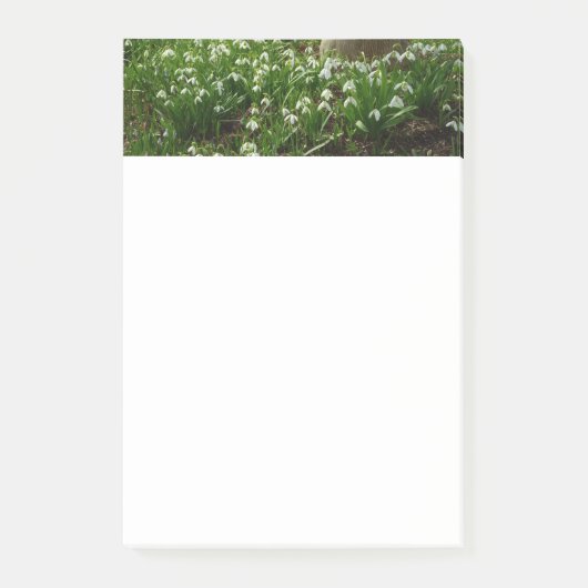 スノードロップII （ガランサス）春フローラ ポストイット (正面)