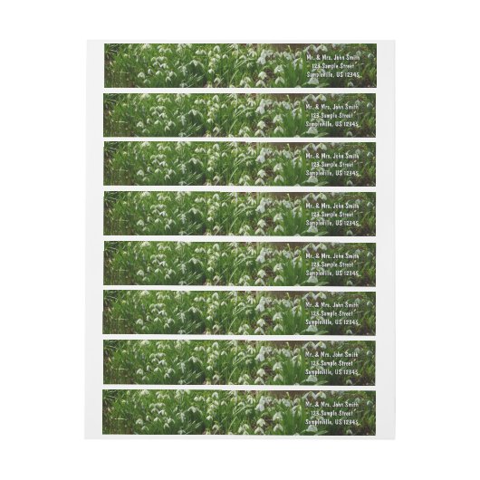 スノードロップII （ガランサス）春フローラ ラップアラウンドラベル (シート)