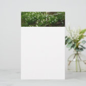 スノードロップII （ガランサス）春フローラ 便箋 (スタンド正面)