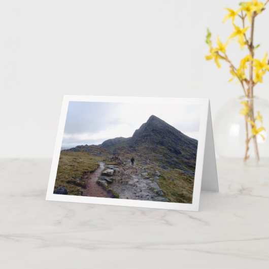 スノードン山、スノードニア、ウェールズ カード (黄色い花)