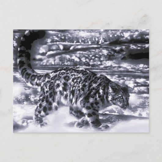 スノーハンター3 ポストカード (正面)