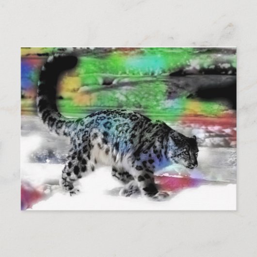 スノーハンター5 ポストカード (正面)