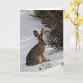 スノーバニー カード (黄色い花)