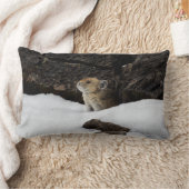 スノーバンクのアメリカンパイク ランバークッション (ブランケット)