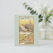 スノーバンティング ポストカード (スタンド正面)