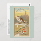 スノーバンティング ポストカード (正面/裏面)