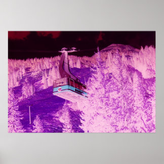 スノーバードドリーム ポスター