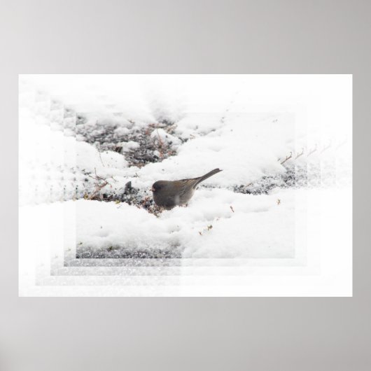 スノーバード01 ポスター (正面)