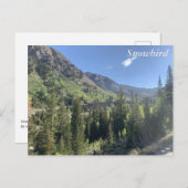 スノーバード – 夏 ポストカード (正面/裏面)