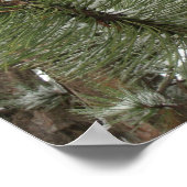 スノーパインコーンのポスター ポスター (角)