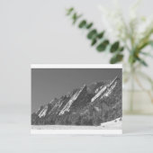 スノーパウダーダスティングフラティロン大きい石CO BW ポストカード (スタンド正面)