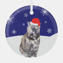 スノーヒルズとサンタハットのカメ猫