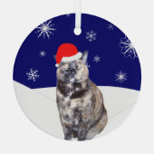 スノーヒルズとサンタハットのカメ猫 ガラスオーナメント (裏面)