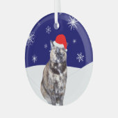 スノーヒルズとサンタハットのカメ猫 ガラスオーナメント (正面左)