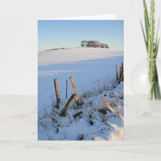 スノービューカード シーズンカード (正面)