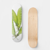 スノーピース スケートボード (正面)