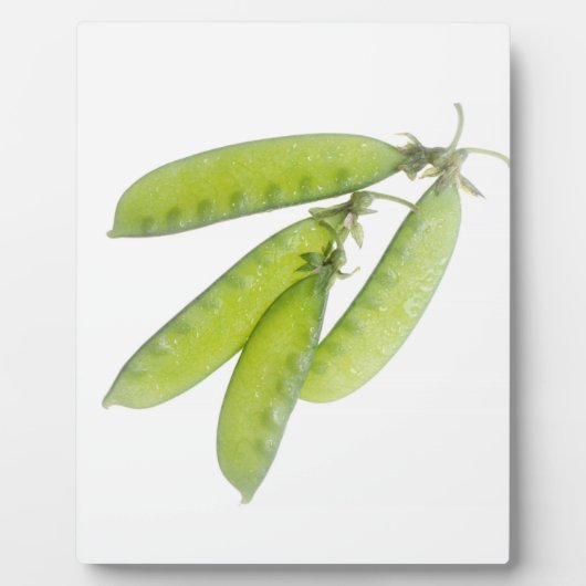 スノーピース フォトプラーク (正面)