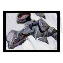 スノーフィールドカードの花崗岩