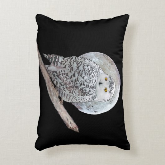 スノーフクロウと月絵画のオリジナル- Bird Art アクセントクッション (正面(垂直))