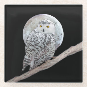 スノーフクロウと月絵画のオリジナル- Bird Art ガラスコースター