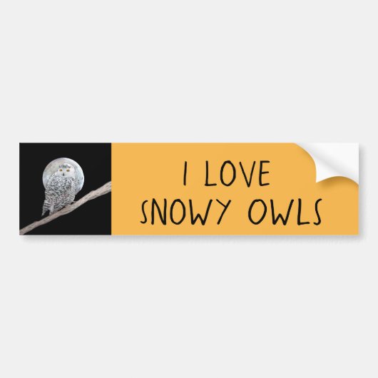 スノーフクロウと月絵画のオリジナル- Bird Art バンパーステッカー (正面)