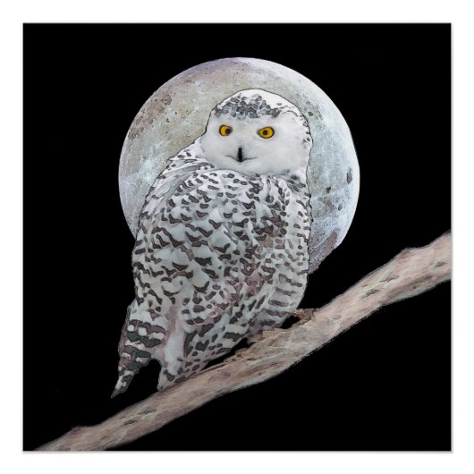 スノーフクロウと月絵画のオリジナル- Bird Art ポスター (正面)