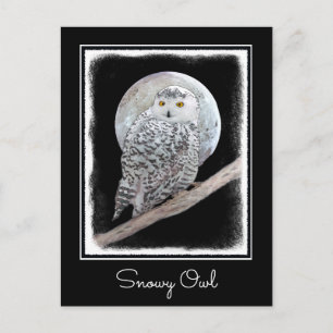 スノーフクロウと月絵画のオリジナル- Bird Art ポストカード