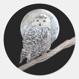 スノーフクロウと月絵画のオリジナル- Bird Art ラウンドシール
