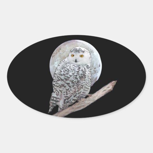 スノーフクロウと月絵画のオリジナル- Bird Art 楕円形シール (正面)