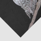 スノーフクロウと月絵画のオリジナル- Bird Art 薄葉紙 (詳細)