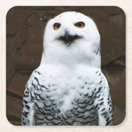 スノーフクロウのコースタクナ スクエアペーパーコースター